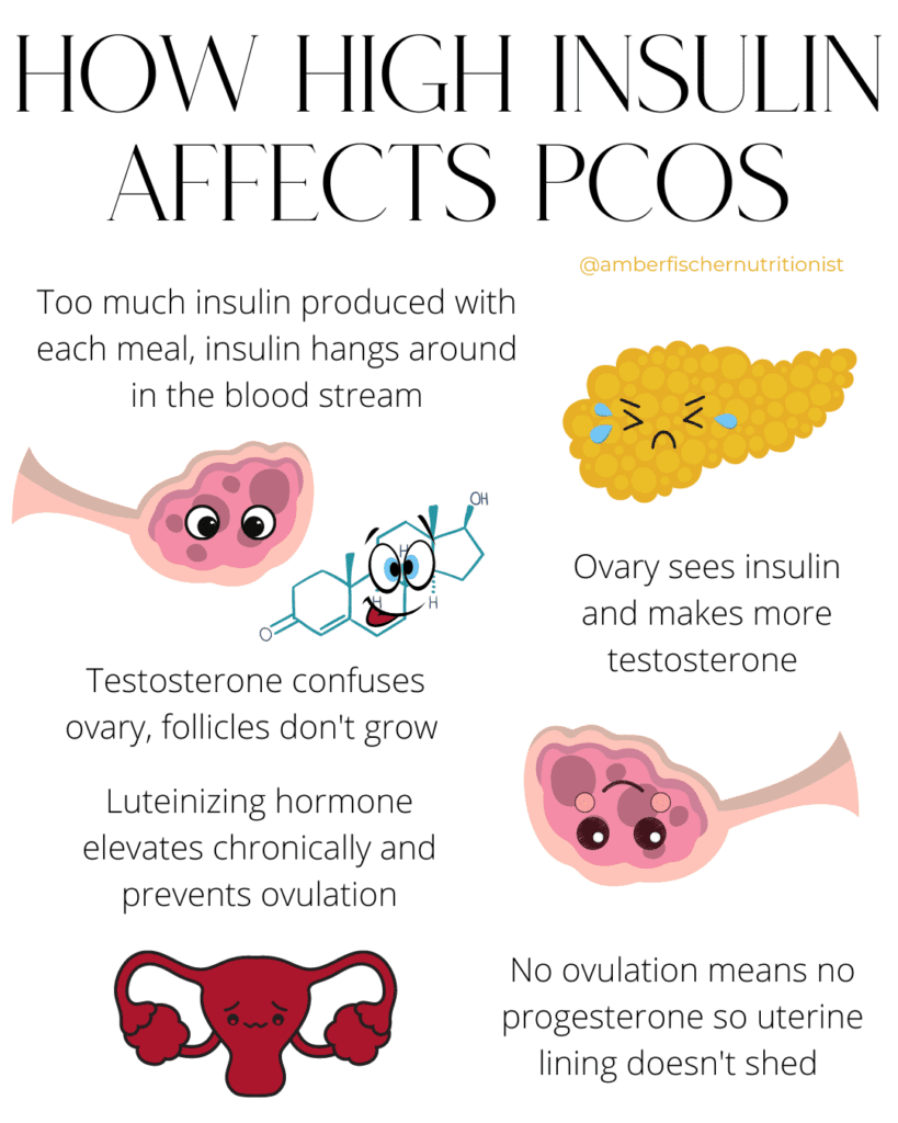 graphic showing how high insulin impacts pcos and makes it harder to lose weight with pcos by causing testosterone and irregular ovulation
