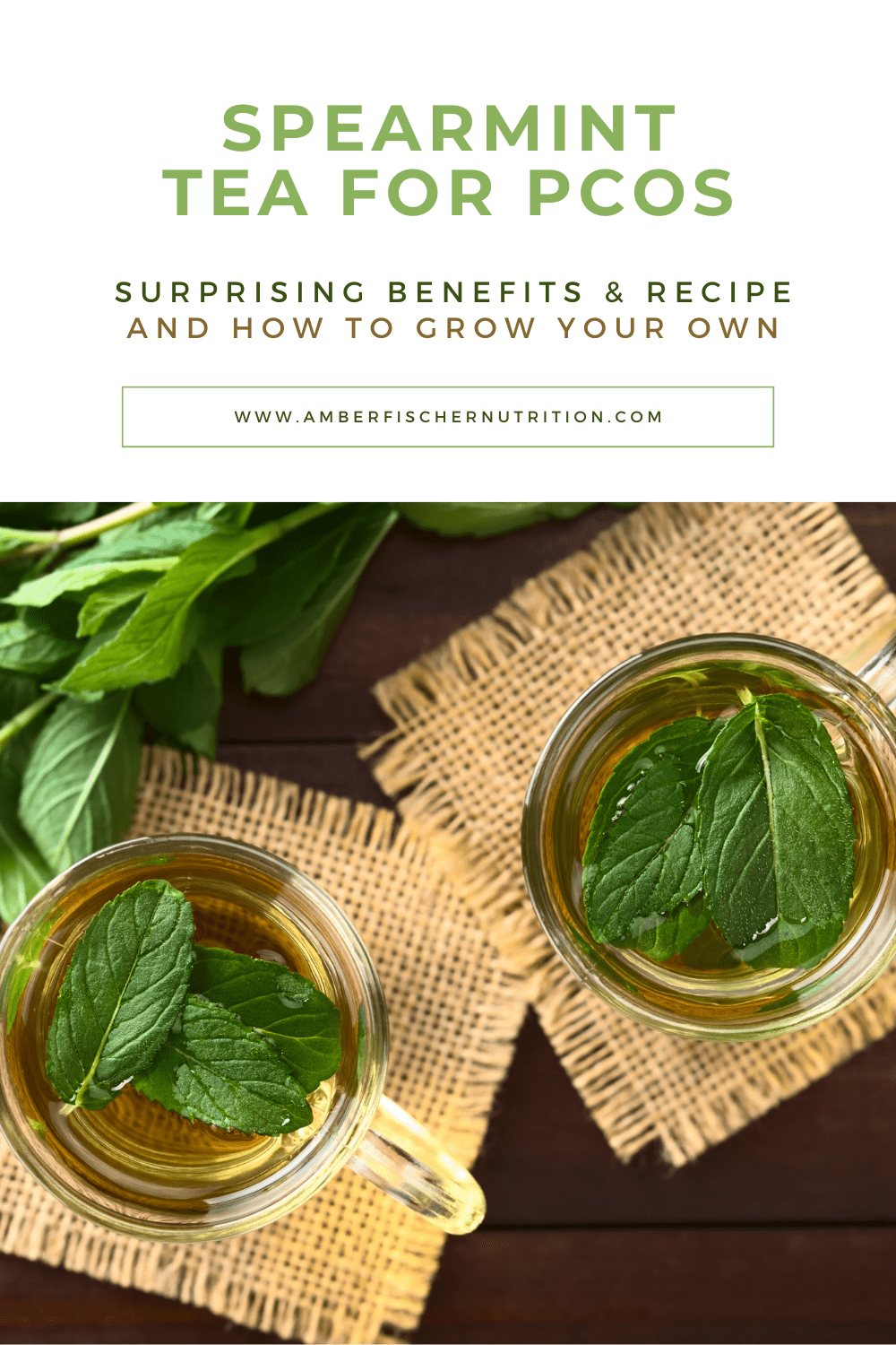 spearmint tea for pcos benefits and recipe graphic